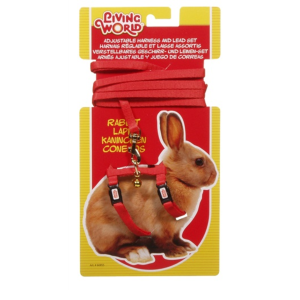Ensemble laisse et harnais pour lapin, ROUGE – LIVING WORLD