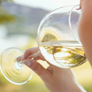 Déguster le vin : ce que nous enseigne le nez du vin [article Premium à l&rsquo;achat]